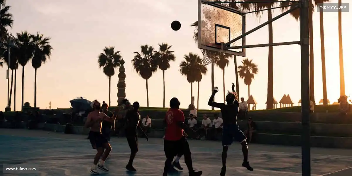 华体会官方🌟从菜鸟到强者，只差一次勇敢开始！体育首页，等你来征服～