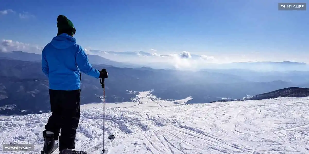 我们的品牌价值